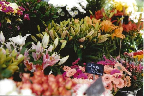 Le Kiosque à Fleurs Place Jean Jaurès - photo 2